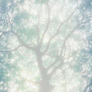 黄网站一区二区三区
